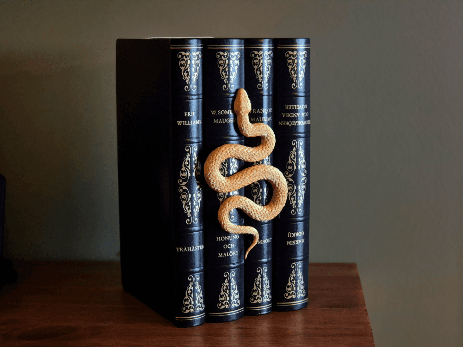 Cas-printed Snake Bookshelf Insert Decor, photographed in the studio.
