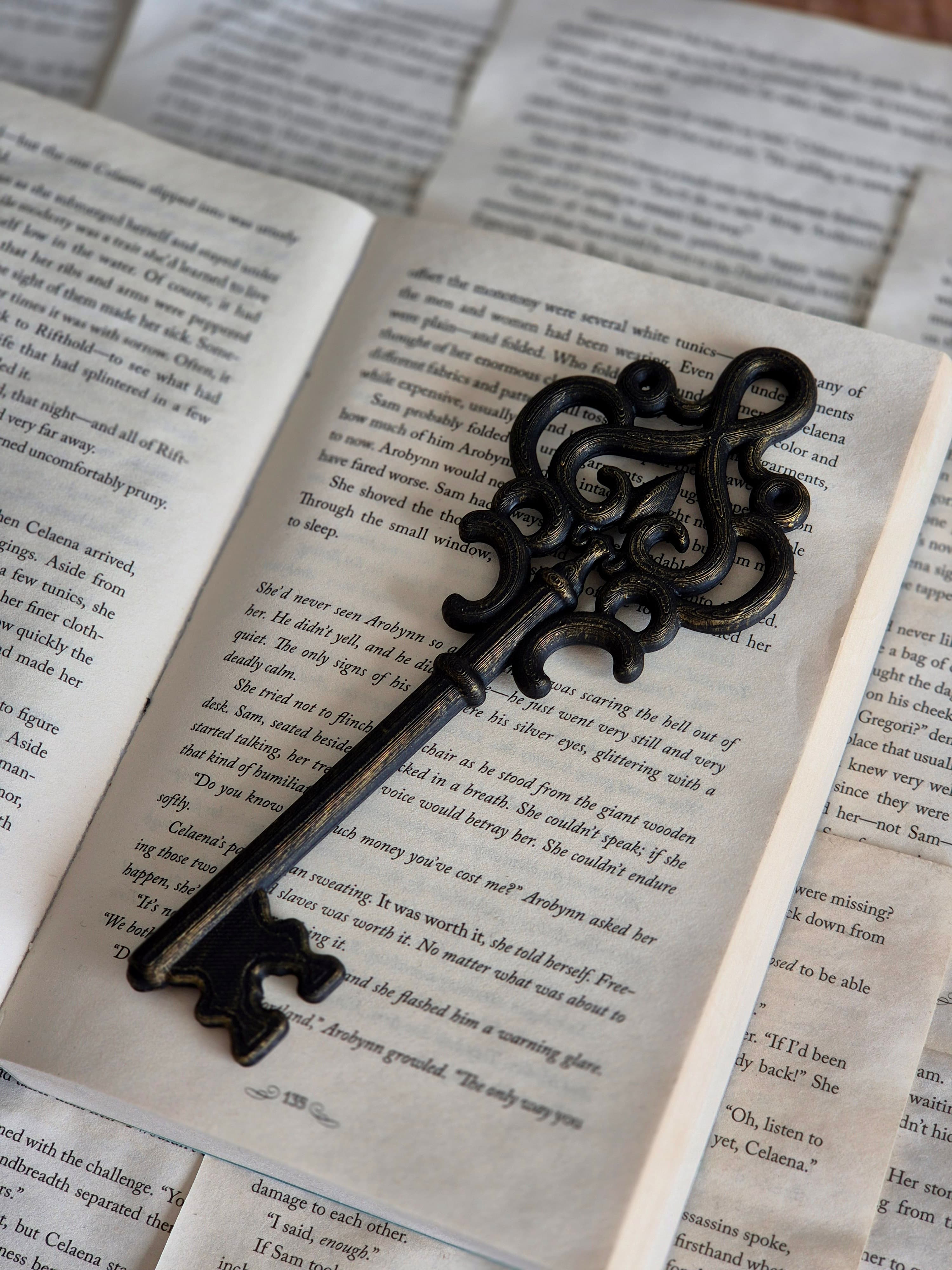 Ancient Key Bookshelf Decor, gallery image 7