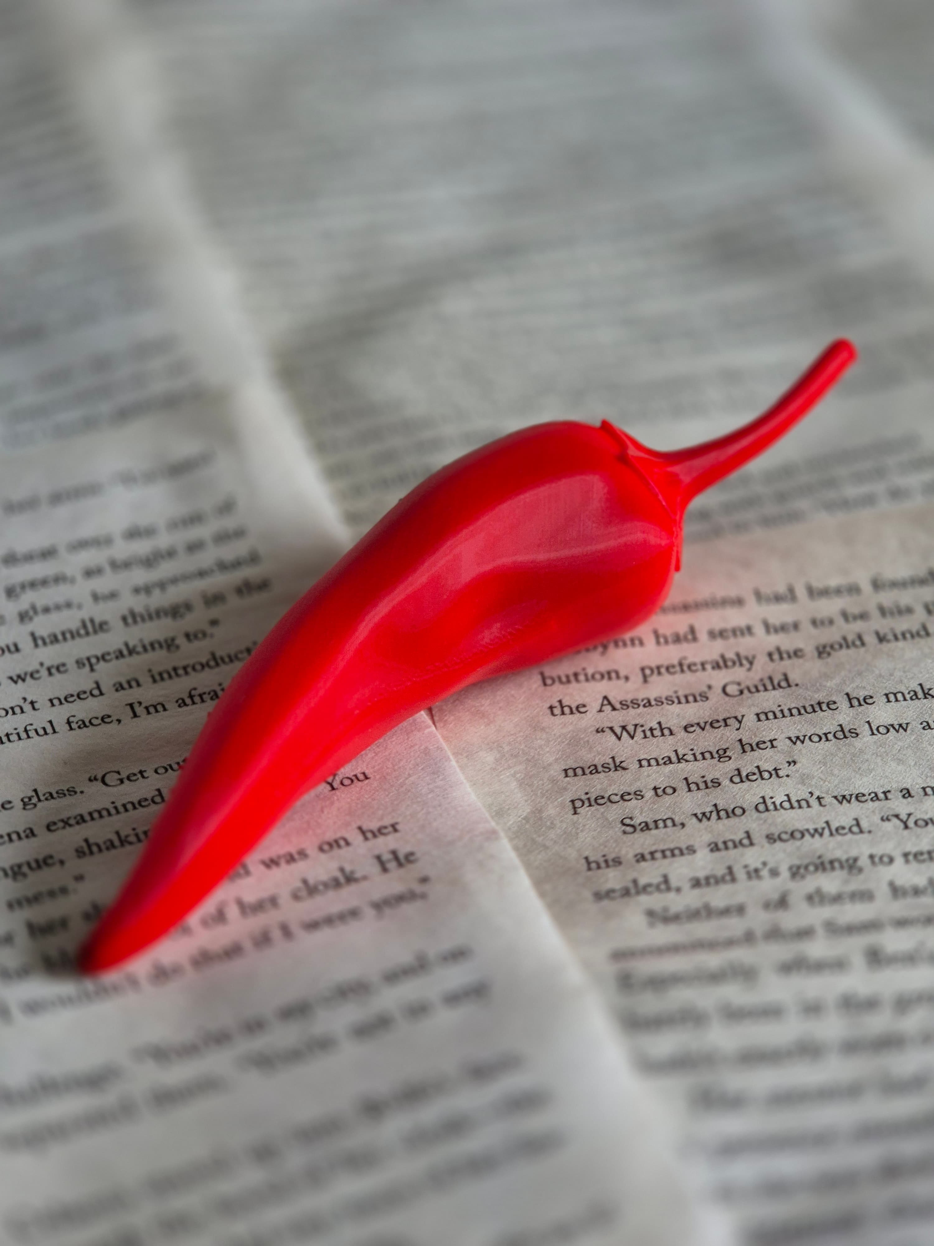 Chili Pepper Bookshelf Decor Spicy, gallery image 3