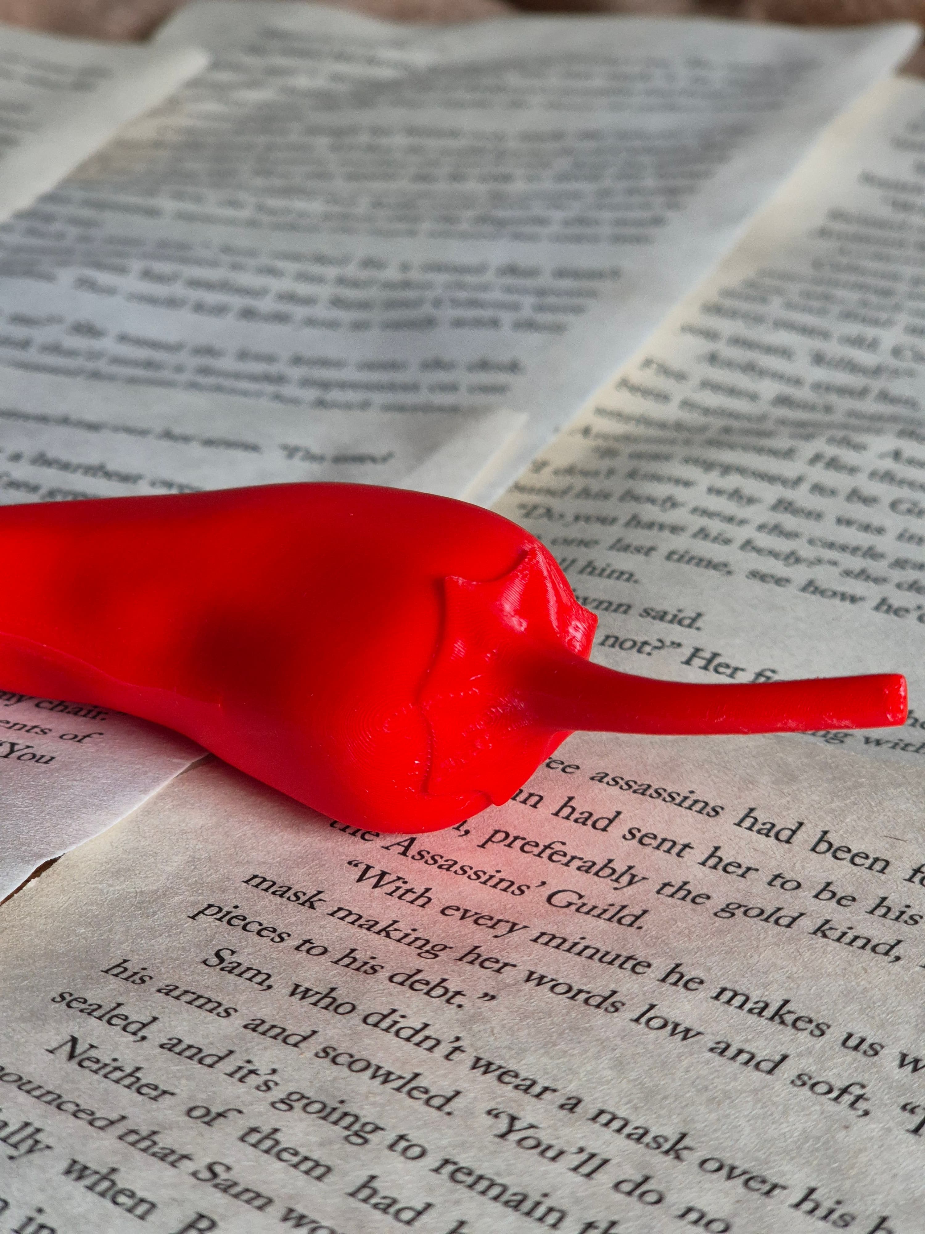 Chili Pepper Bookshelf Decor Spicy, gallery image 5