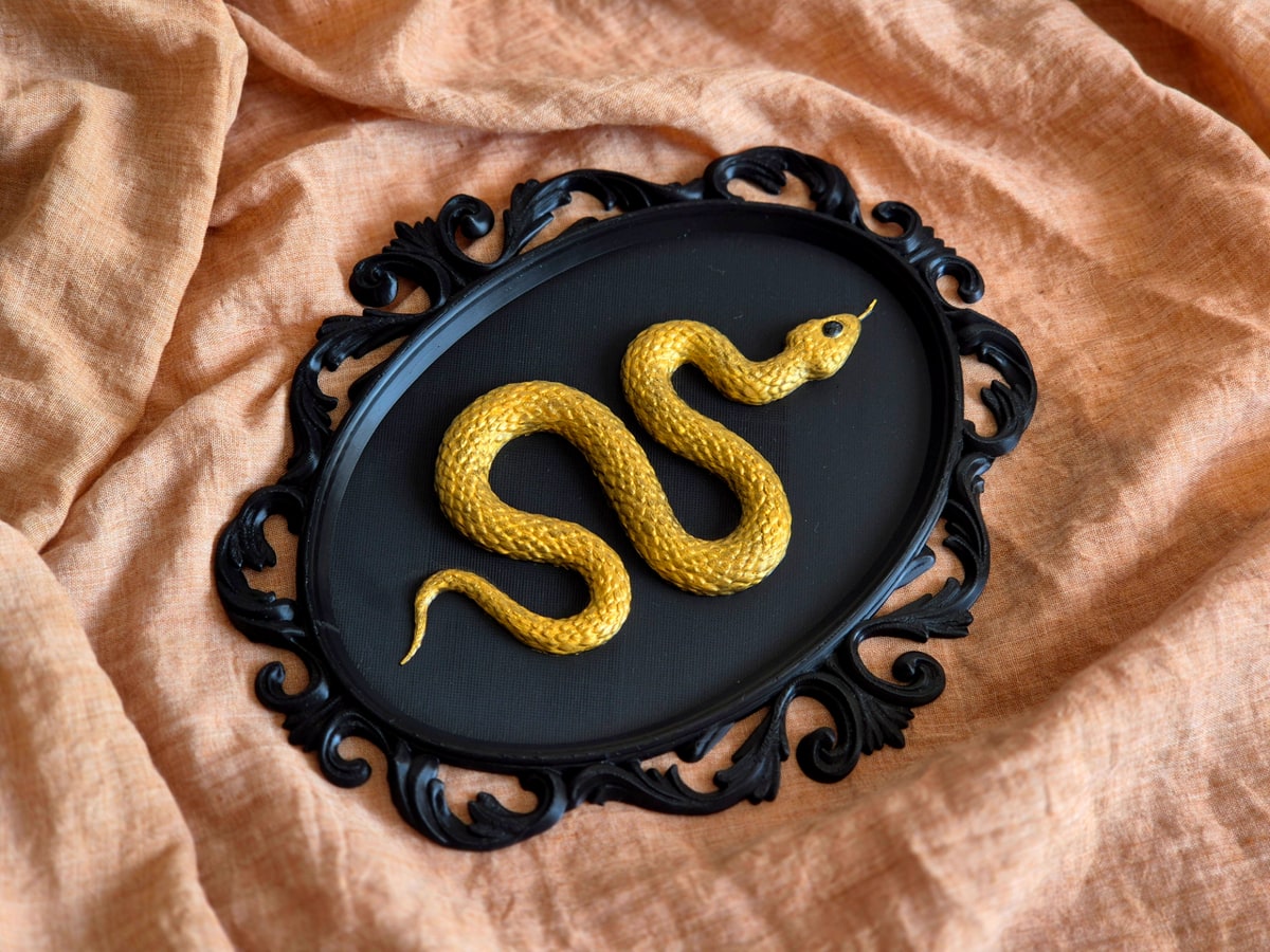 Wall Decor Gothic Snake Frame