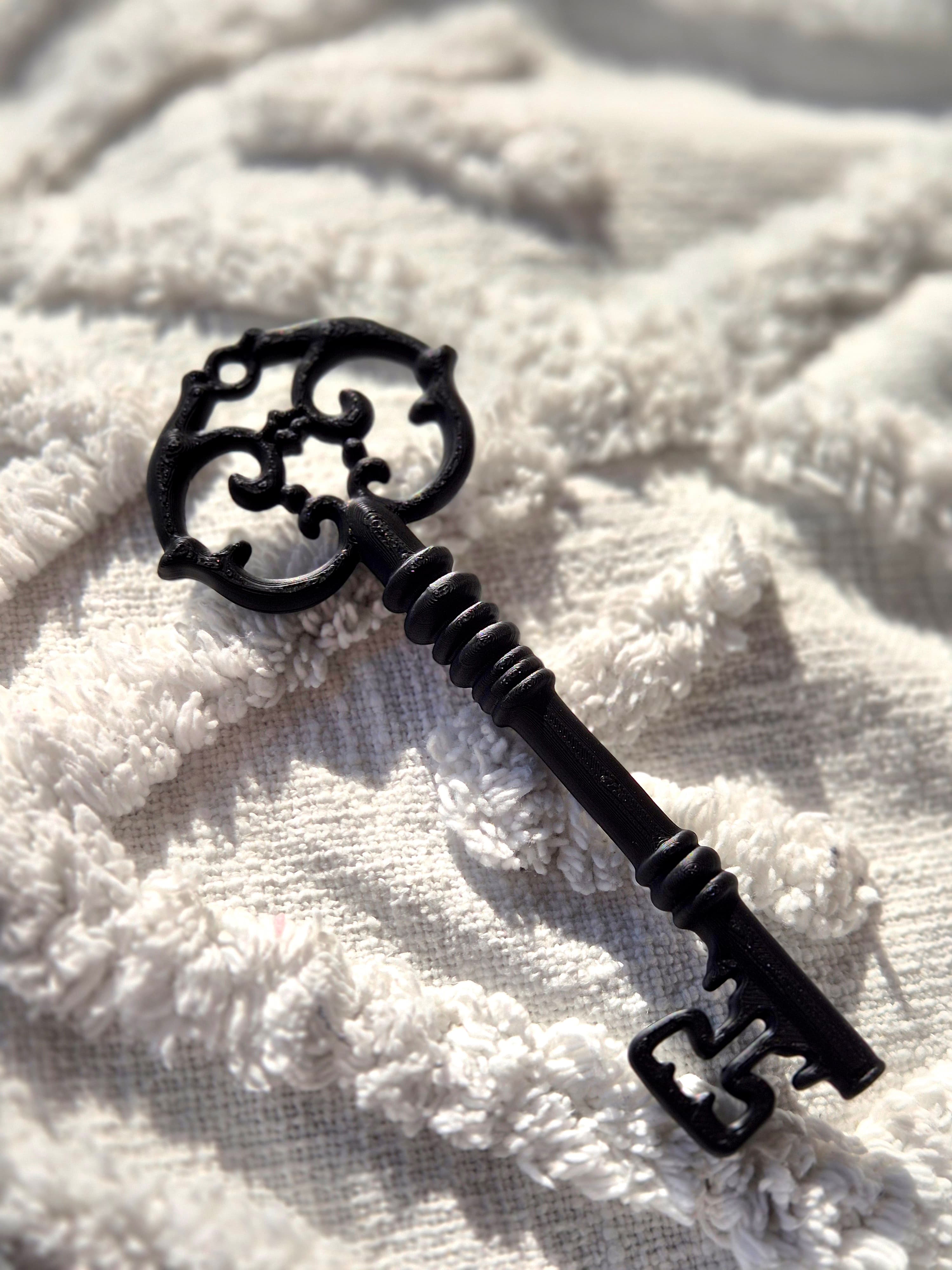 Ancient Key Bookshelf Decor, gallery image 3