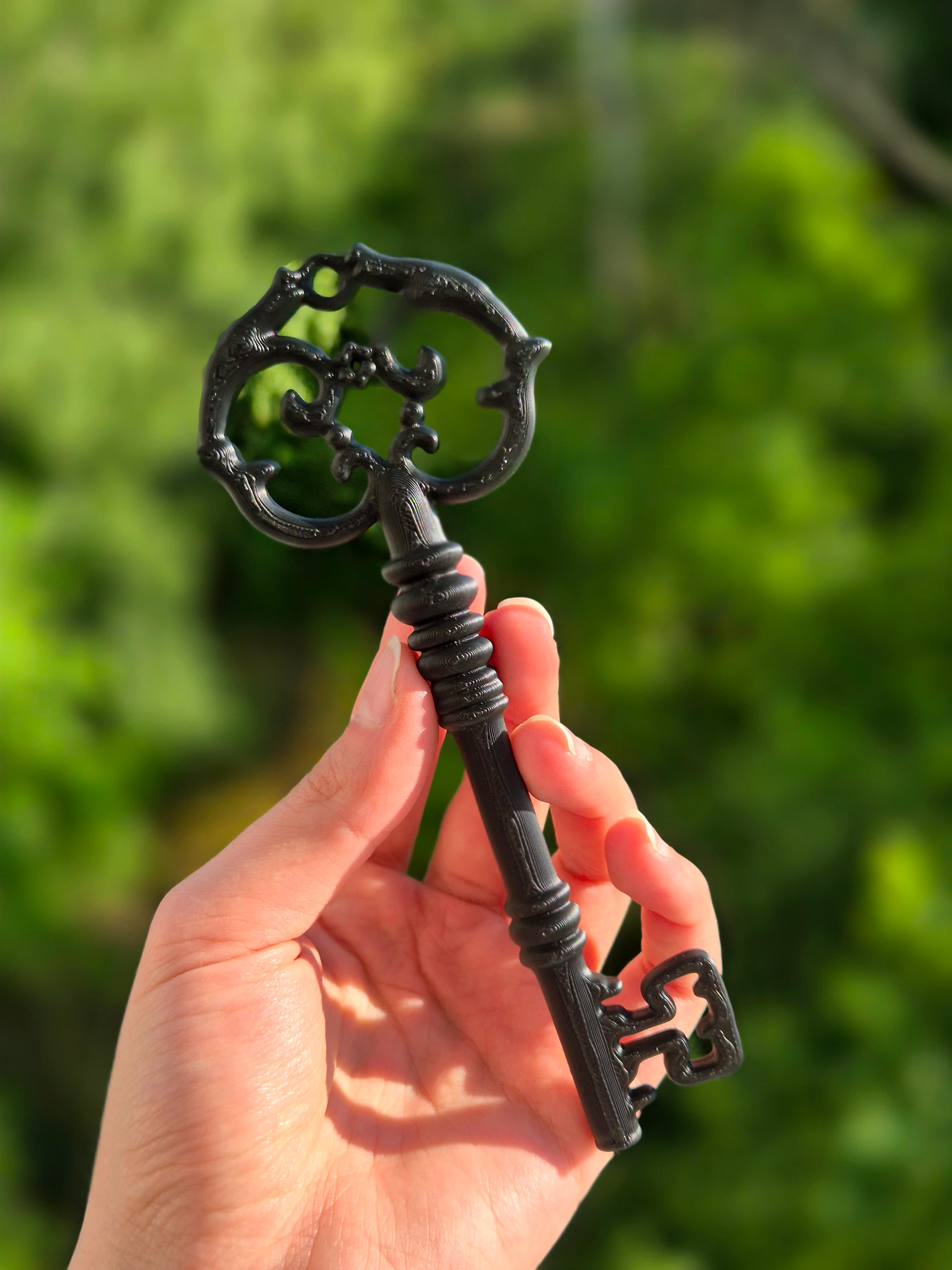 Ancient Key Bookshelf Decor, gallery image 6