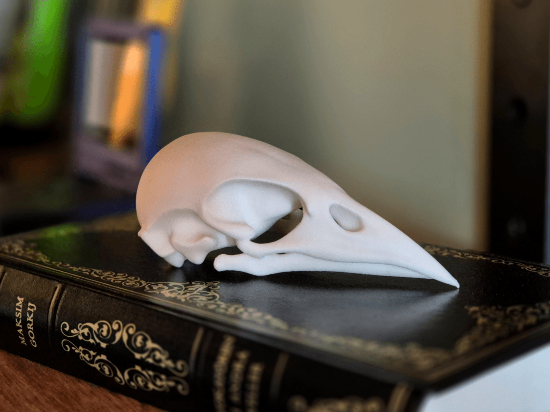Bird Skull Bookshelf Decor — 3D printed model photographed in studio