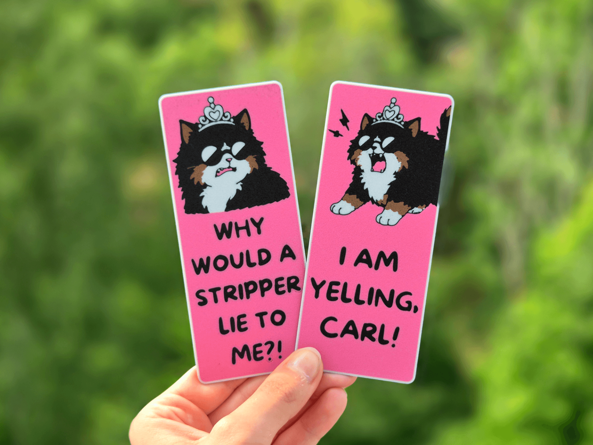 Dungeon Crawler Carl Bookmark — 3D printed model photographed in studio